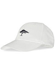 Cap  Tree Logo