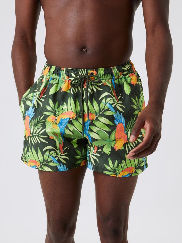 Borg Print Swim Shorts  Bb Ziggy