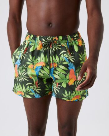 Borg Print Swim Shorts  Bb Ziggy