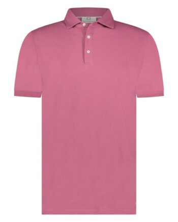Arto Polo