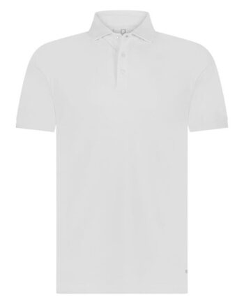 Arto Polo