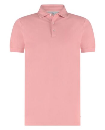 Arto Polo