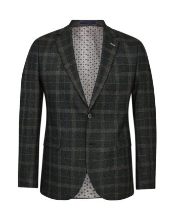 Blazer Modern Fit