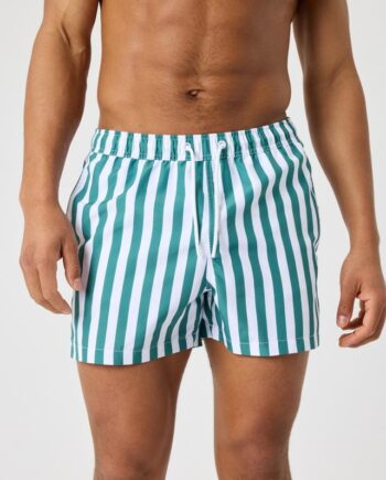 Borg Print Swim Shorts  Bb East Ikat