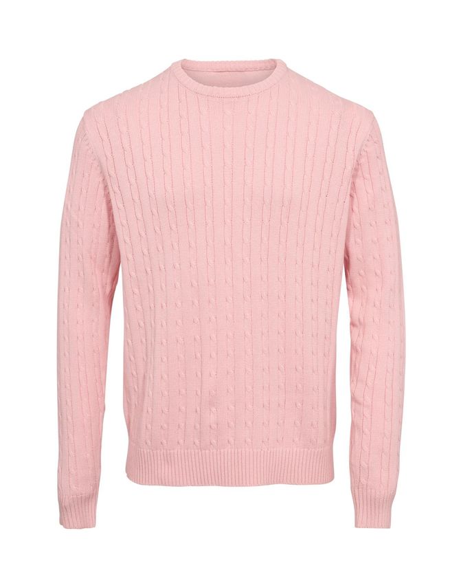 Cable -neck Knit Regular Fit
