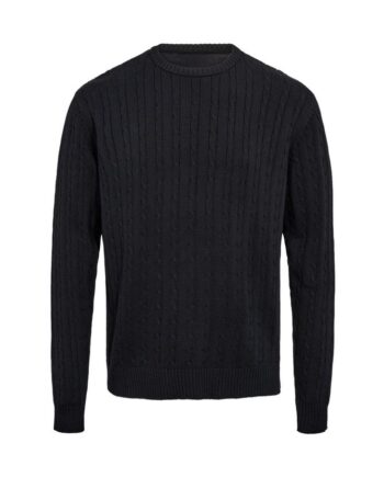 Cable  -neck Knit Regular Fit