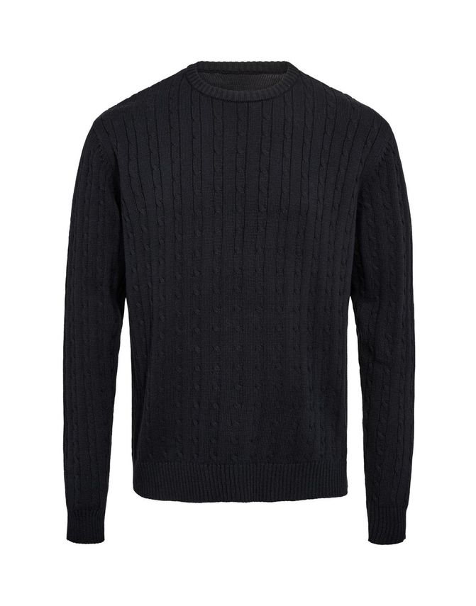 Cable -neck Knit Regular Fit
