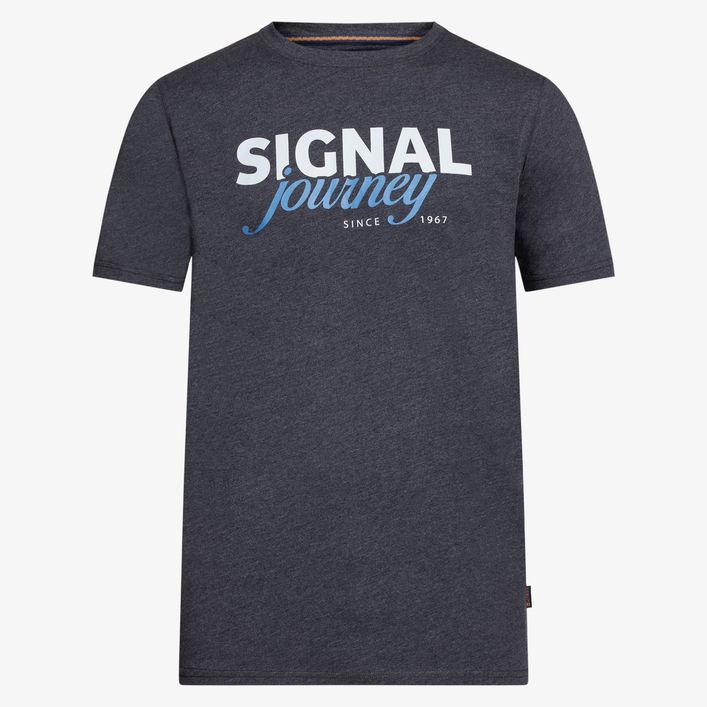 Dizzysi Logo Tee