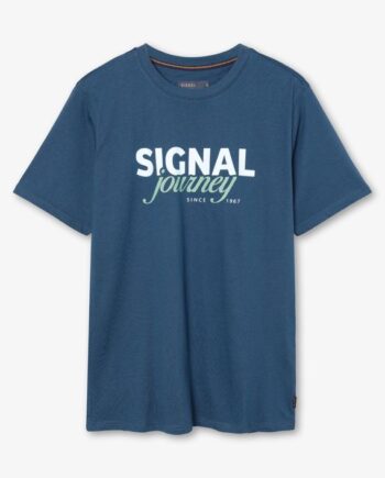 Dizzysi Logo Tee