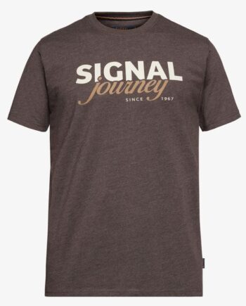 Dizzysi Logo Tee