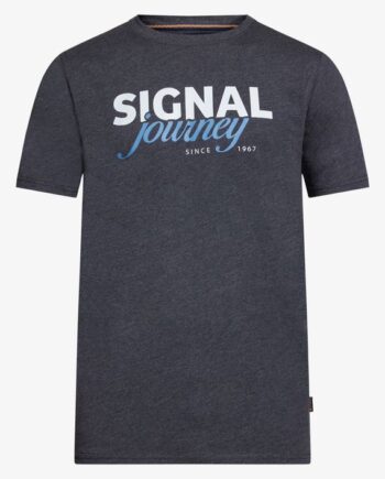 Dizzysi Logo Tee