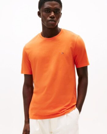 Ess Seasonal Reg Fit Solid Tee
