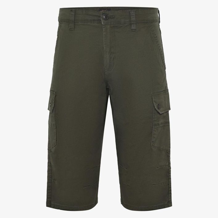 Gerhardtsi Twill
