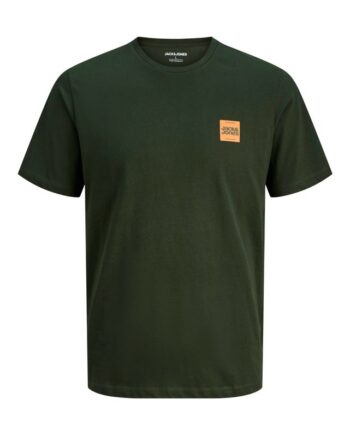 Jjbrandy Tee Ss Crew Neck Ln
