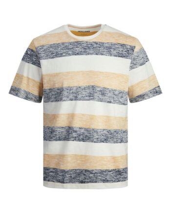 Jjcoast Tee Ss Crew Neck