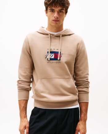 Linear Flag Graphic Hoodie