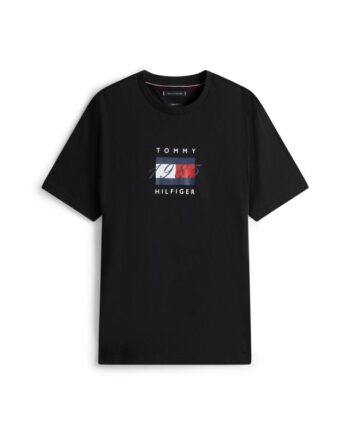 Linear Flag Graphic Tee