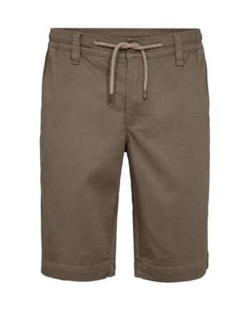Mens Shorts Aop Regular Fit