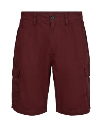 Mens Shorts Regular Fit