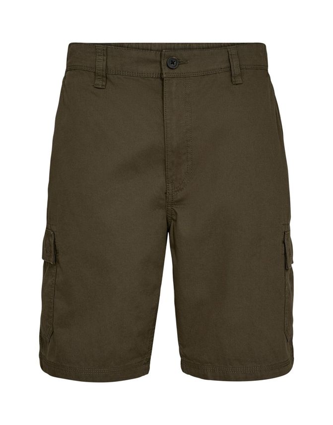 Mens Shorts Regular Fit