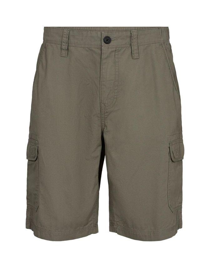 Mens Shorts Regular Fit