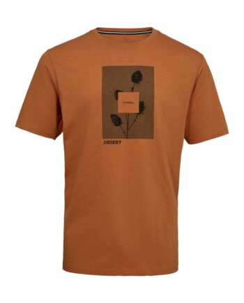 -neck    Chest Pring Regular