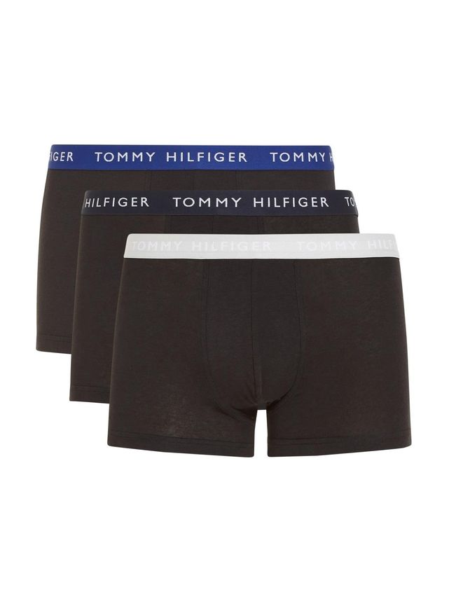 3p Trunk Wb