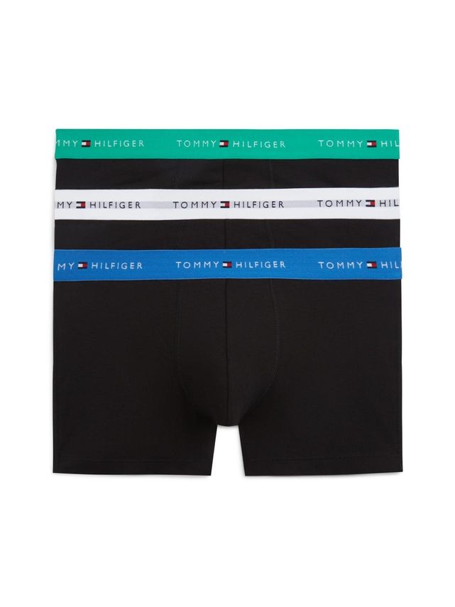 3p Trunk Wb
