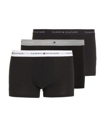 3p Wb Trunk