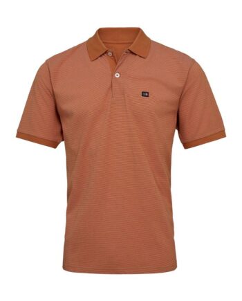 Polo Modern Fit