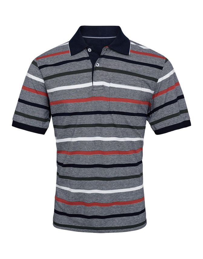 Striped Polo Regular Fit