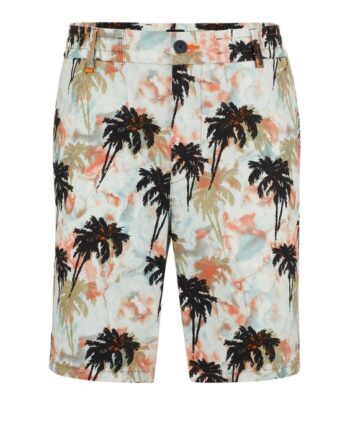 Taber-shorts 10248660 01