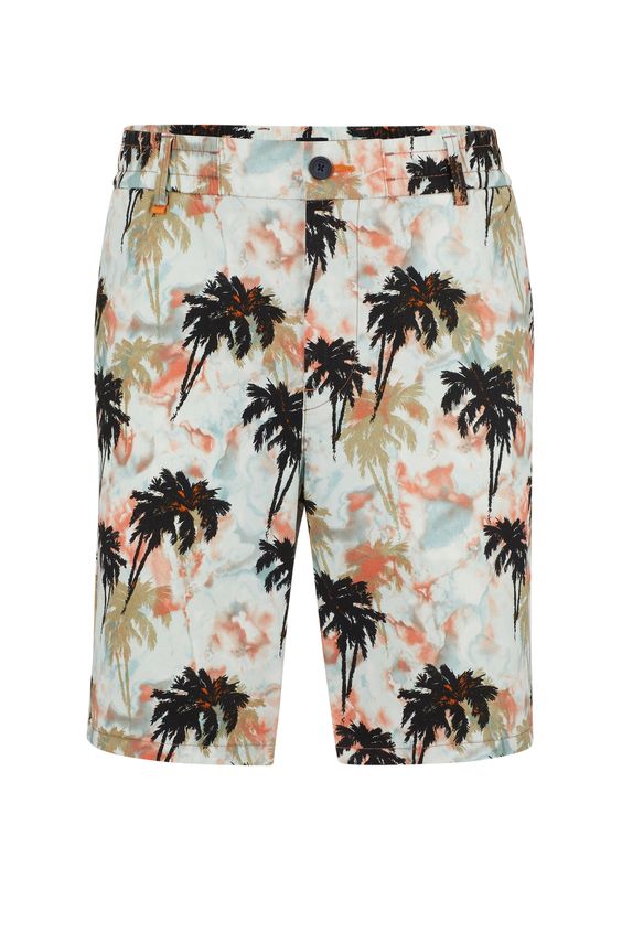 Taber-shorts 10248660 01