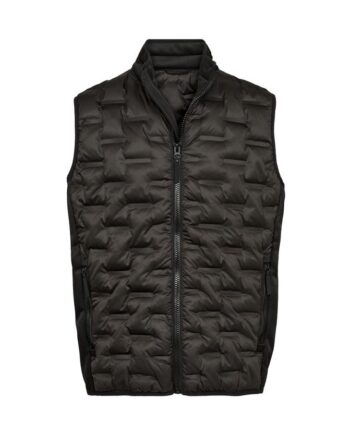 Waistcoat Regular Fit