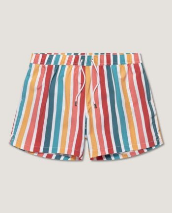 Classic Swimshort Stripe