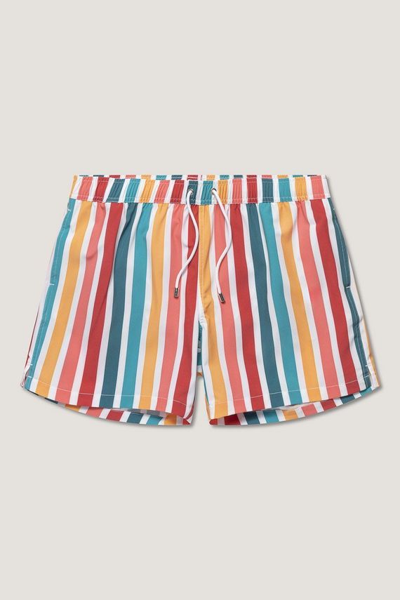 Classic Swimshort Stripe