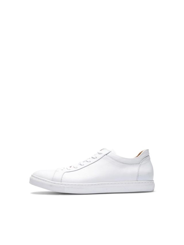 Shndavid Sneaker Noos